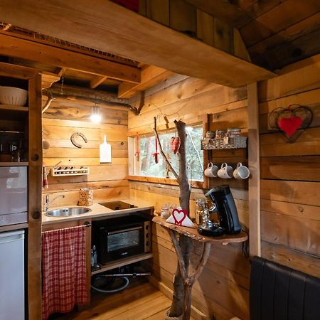 Bed and Breakfast Nids Des Vosges Champdray Exterior foto
